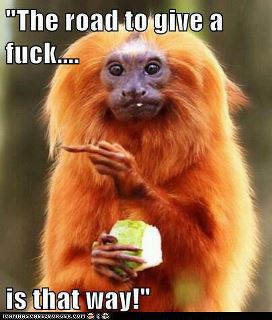 Monkey GAF
