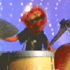 Animal on Drums