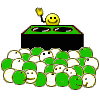Rave